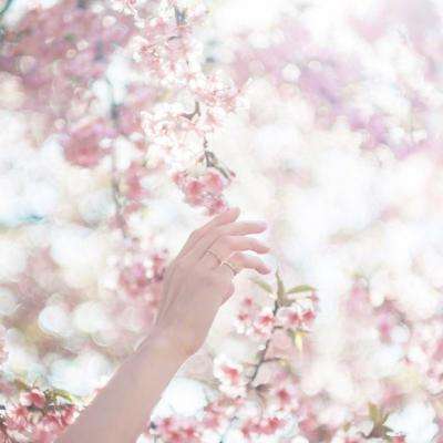 ng体育电子游戏