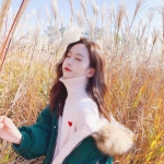 im电竞官方官网手机app下载